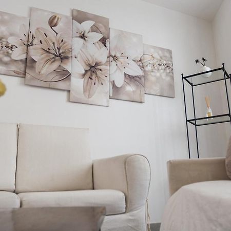 Villa Fenix Bergamo Zewnętrze zdjęcie